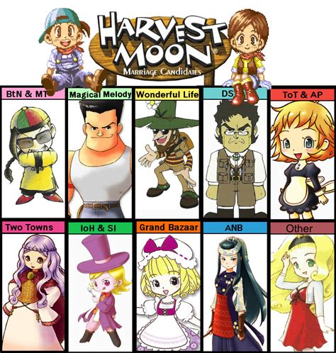 Challenges and Achievements in Wii Harvest Moon Magical Melody